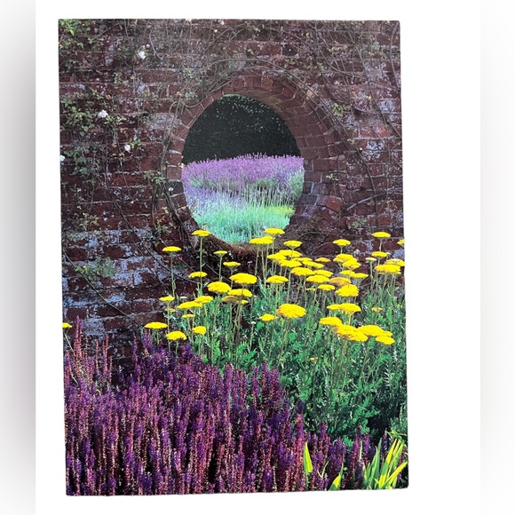 Collection of Flowers and Doors and Windows Photography Blank Greeting Cards - Picture 8 of 13